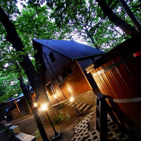 Toelgyes Menedek Apartment นอซวาย ภายนอก รูปภาพ